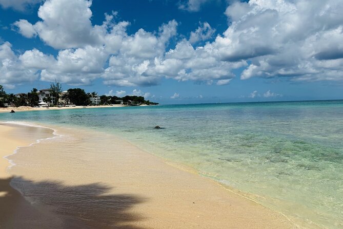 Beach BodyPump Workout in Barbados Train with a Certified Coach - Why This Experience Is Worth It