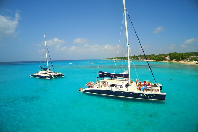 Catamaran and Snorkeling Cruise At Carlisle Bay - Key Points