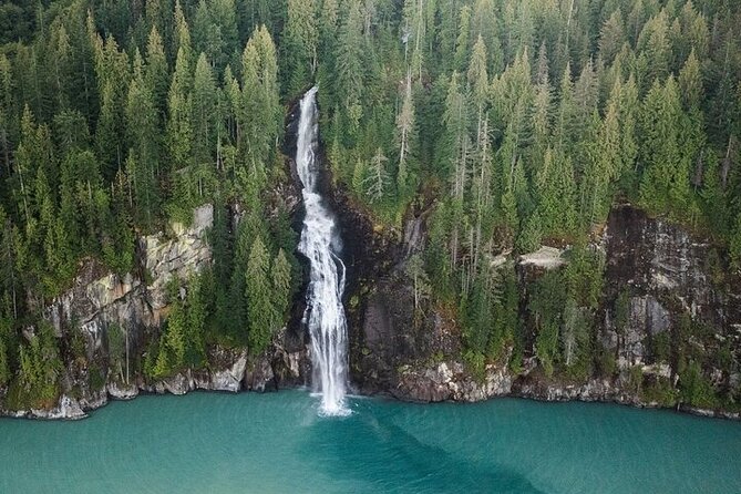 Toba Bears and Wilderness Grizzly Bear Viewing in Campbell River - What Makes This Tour Stand Out?