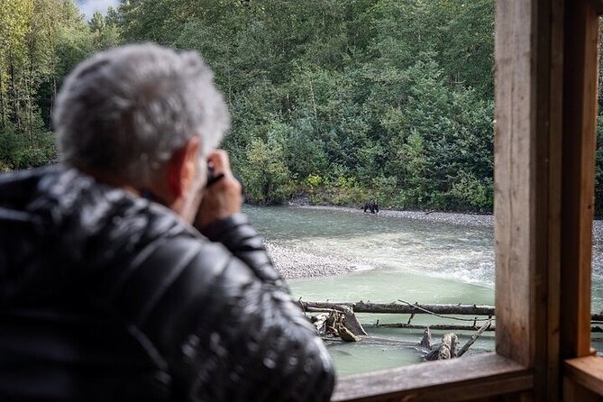 Toba Bears and Wilderness Grizzly Bear Viewing in Campbell River - The Sum Up