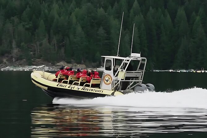 Campbell River, BC: 4 Hour Wildlife Tour Featuring Whale Watching - Good To Know