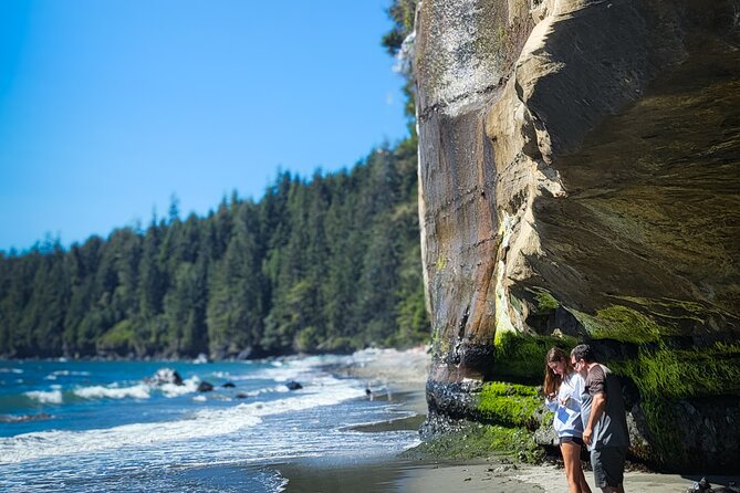 West Coast Wildlife Rainforest Waterfall and Beaches - The Itinerary: A Day in the Wild West Coast