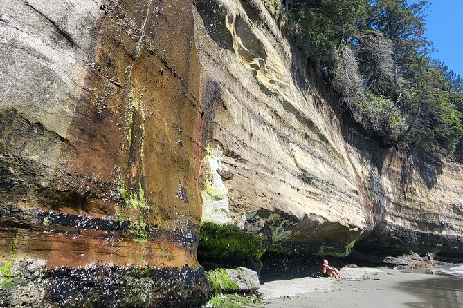 West Coast Wildlife Rainforest Waterfall and Beaches - Final Thoughts: Who Will Love This Tour?