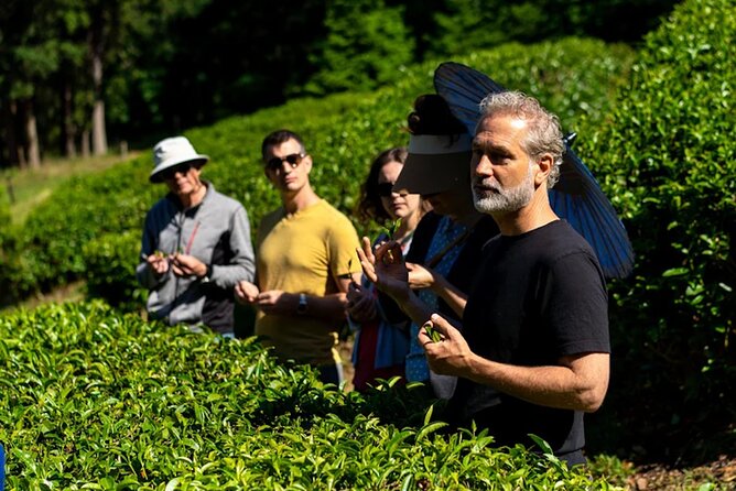 Victoria to Nanaimo Waterfall Wildlife Food Stops Along The Way - The Highlights of the Itinerary