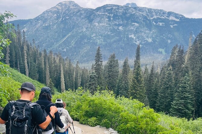 Private Hiking Day tour of Joffre Lakes Park - Who Should Consider This Tour?  