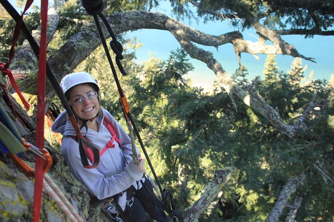 Tree Canopy Climbing on Lopez Island - Exploring Tree Canopy Climbing on Lopez Island: An Adventure for All
