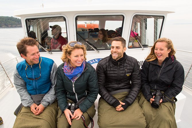 Whale Watching from Friday Harbor - Pricing and value analysis