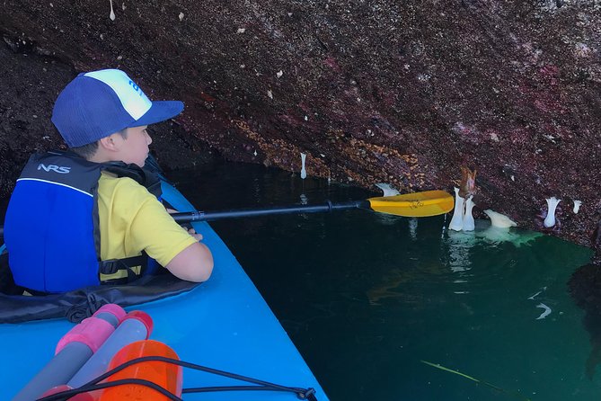 Kayaking in Deception Pass State Park - An In-Depth Look at the Tour Experience