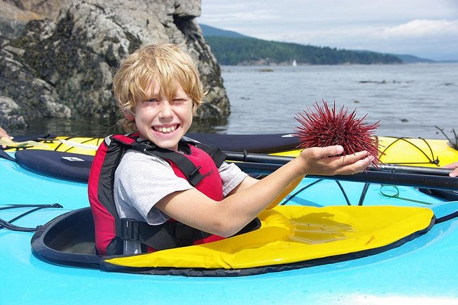 Kayaking in Deception Pass State Park - Final Thoughts: Is It Worth It?