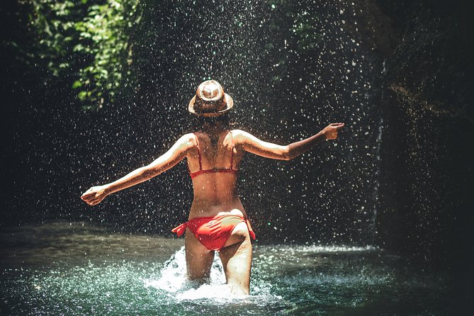 Trinidad Rainforest Hike to Waterfall - Exploring Trinidad’s Rainforest: A Practical Review