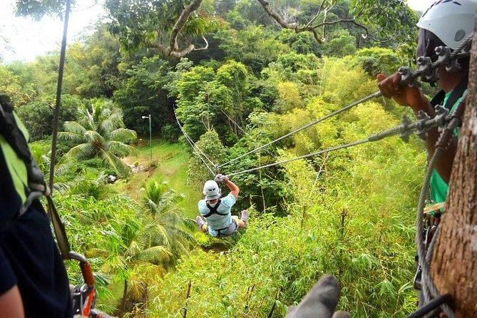 Trinidad Zipline Adventure - Trinidad Zipline Adventure: Soar Above the Caribbean