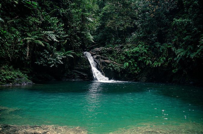 Private Tour Rio Seco Waterfall from Port of Spain - Final Thoughts