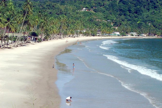 Maracas Beach Trip - Experience the Best of Maracas Bay with a Private Tour