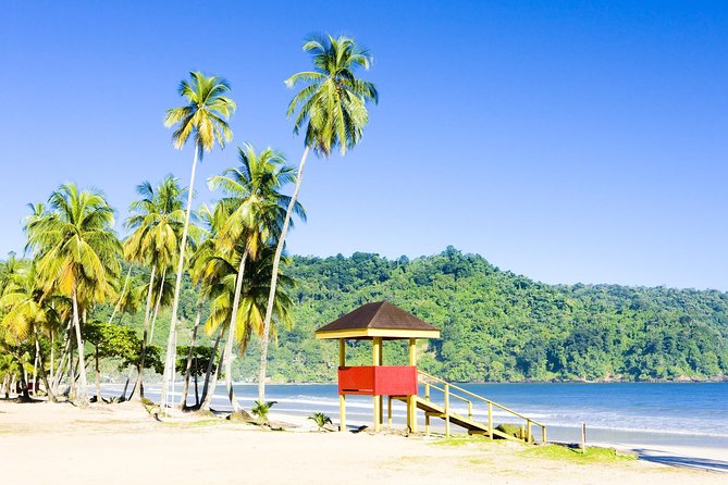 Trinidad Highlights and Scenic Drive Tour - Key Points