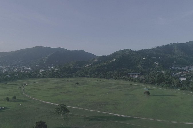 Port of Spain City Tour - Transportation & Convenience