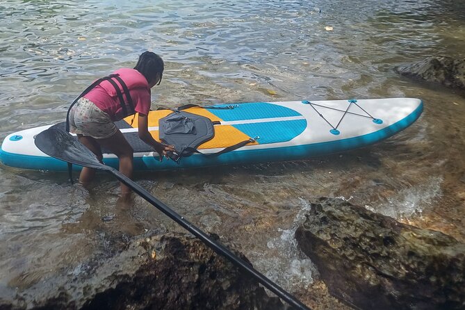 2 Hours Paddle Board Experience in Chaguaramas. Snorkeling also. - The Sum Up