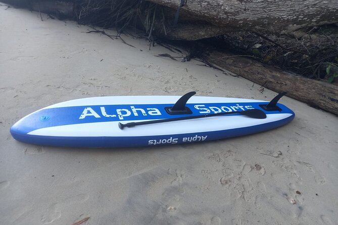 2 Hours Paddle Board Experience in Chaguaramas. Snorkeling also. - Good To Know