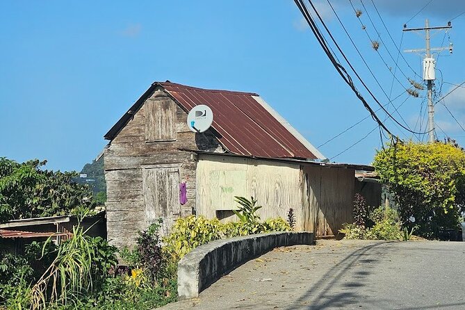 Personalized Private Tour The Paramin Hills - Price and Value