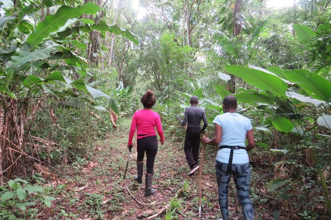 El Suzanne Estate Birding & Nature Reserve Tour - Why This Tour Is a Great Choice