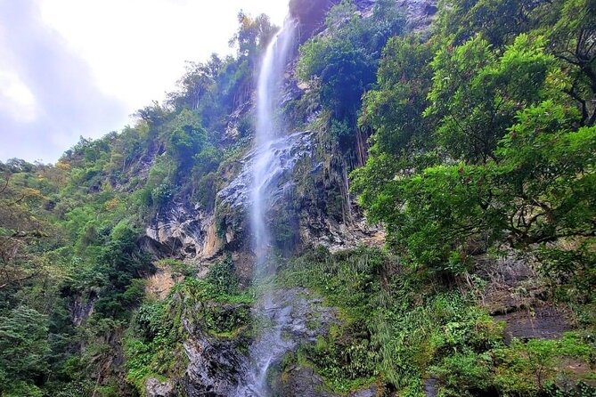 Visit Trinidads highest waterfall - Final Thoughts: Who is This Tour Best For?