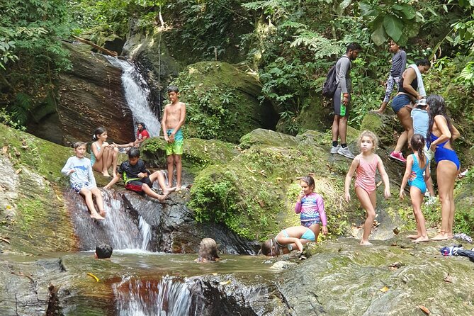 Visit Trinidads highest waterfall - FAQ