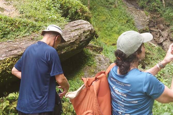 Maracas Waterfall Hike - An In-Depth Look at the Maracas Waterfall Hike