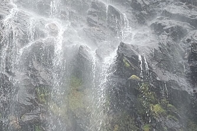 Maracas Waterfall Hike - Who Will Love This Tour?