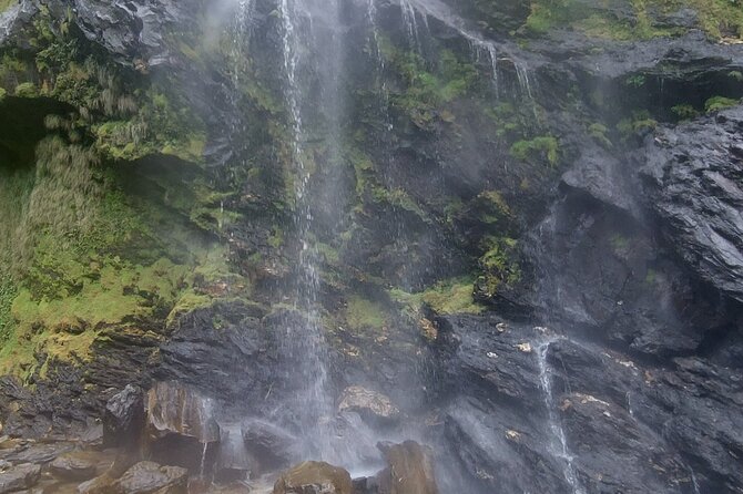 Maracas Waterfall Hike - Discover the Beauty of Maracas Waterfall Hike