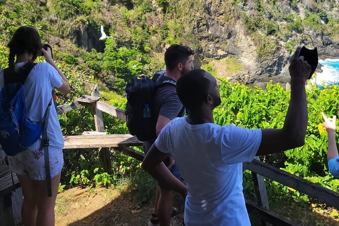 Birdwatching, Waterfall, Rainforest and Island Nature Tours - Final Thoughts