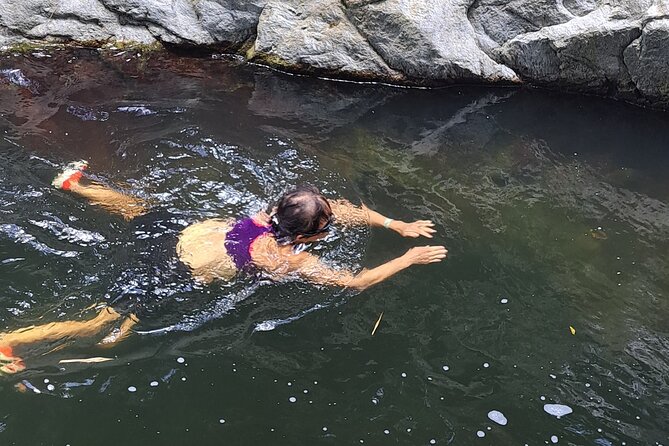 2 Hours Trekking Waterfall Tour in Tobago - The Sum Up