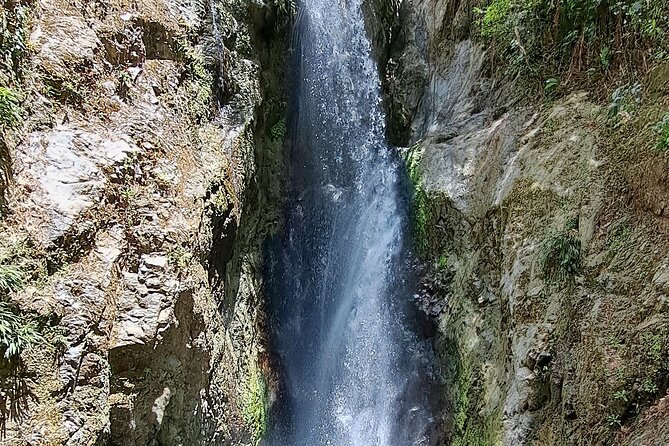 2 Hours Trekking Waterfall Tour in Tobago - Who Will Love This Tour?