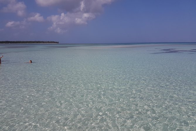 Buccoo Reef and Nylon Pool Adventure - Exploring Tobago’s Top Water Attractions: Buccoo Reef and Nylon Pool
