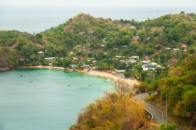 Castara Bay Day Trip with Lunch - Key Points