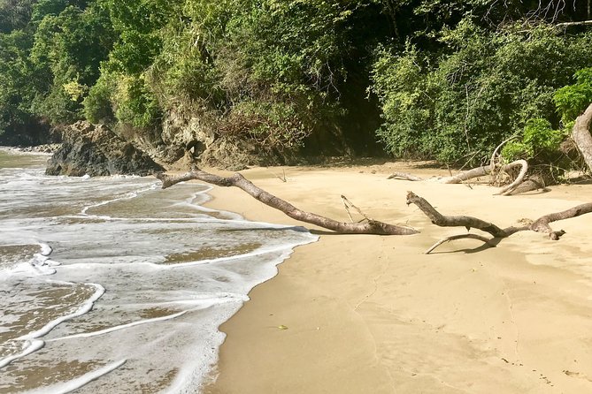 Pirate's Bay Day Trip with Lunch - A Deep Dive into the Pirates Bay Day Trip Experience