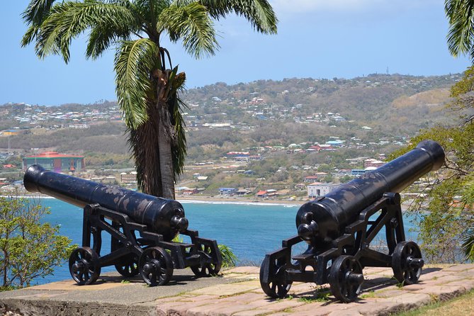 Tobago Island Tour - In-Depth Review of the Tobago Island Tour