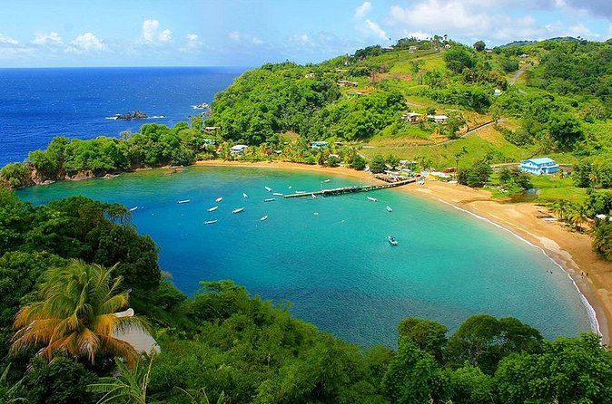 Little Tobago Glass Bottom Boat Tour - Who Will Love This Tour?