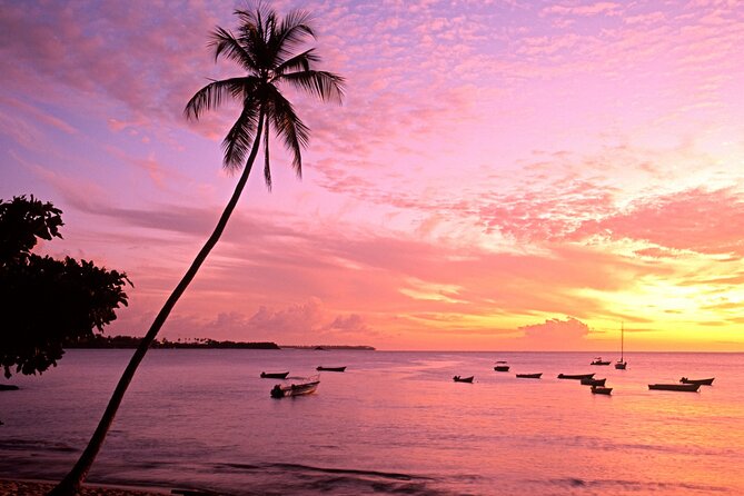 Private Tour Mount Irvine Bay from Tobago - A Closer Look at the Private Mount Irvine Bay Tour