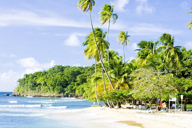 Private Tour Mount Irvine Bay from Tobago - Key Points