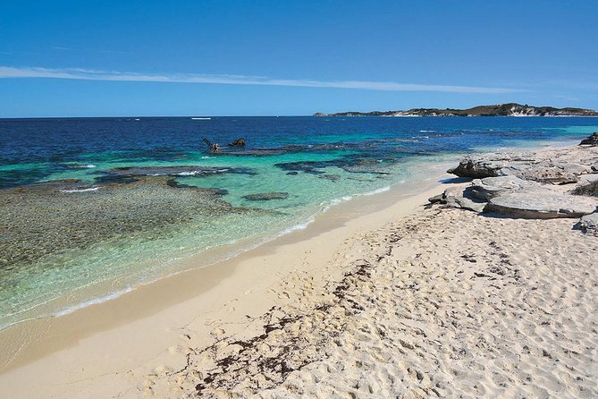 Rottnest Island Bayseeker Tour - Final Thoughts: Is It Worth It?