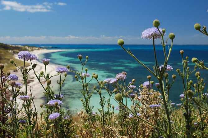 Rottnest Island Bayseeker Tour - A Practical Look at the Rottnest Island Bayseeker Tour