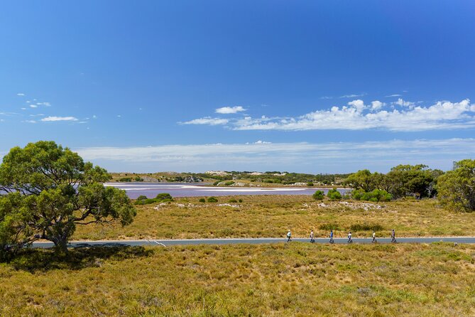 Rottnest Coastal Explorer Tour - The Itinerary Breakdown: What Youll See and Do