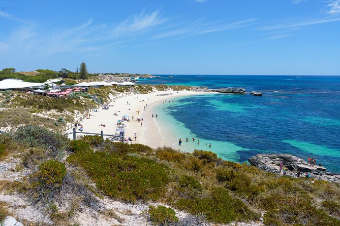 Rottnest Coastal Explorer Tour - Authentic Experiences and Honest Feedback