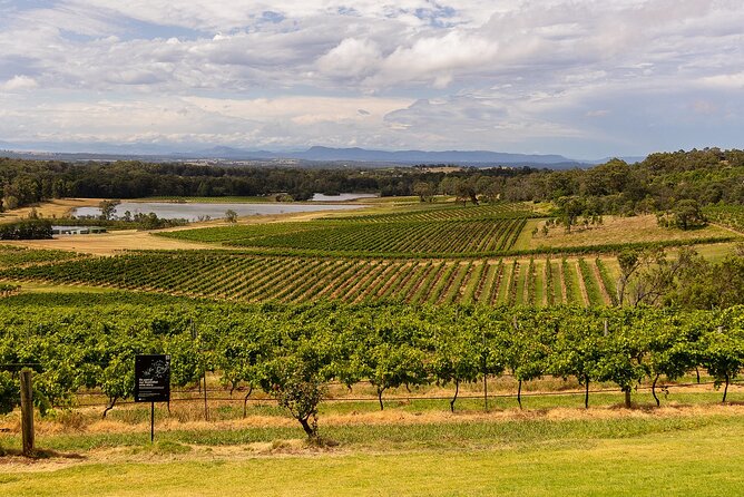 Fully Private and Customisable Hunter Valley Wine Tour - Key Points