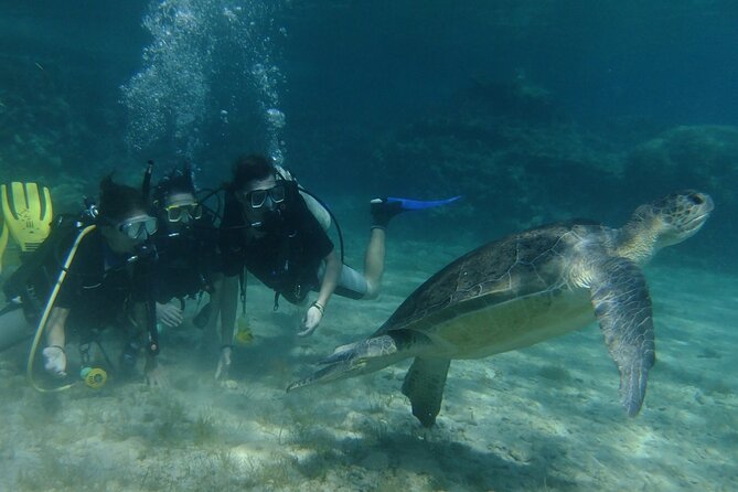 SCUBA DIVING first time experience - Why This Tour Excels