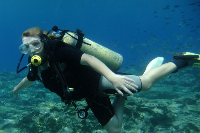 SCUBA DIVING first time experience - Who Would Love This?