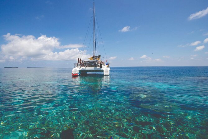 Catamaran Crystal Sea Cruise from Protaras - Authentic Insights from Reviewers