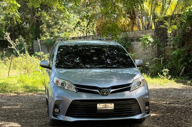 Private Driver from Puerto Plata Airport to Sosua Hotels - Authentic Traveler Insights