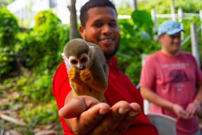 Monkey Enconter & Zip line Adventure - Key Points