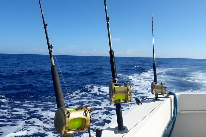 Half Day Sport Fishing Excursion Departing from Sosua - Why This Tour Offers Great Value