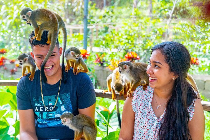 Monkeyland Puerto Plata - Why This Tour Works Well